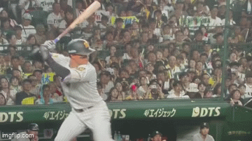 GIF動画
